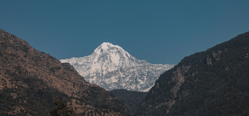 Shilajit