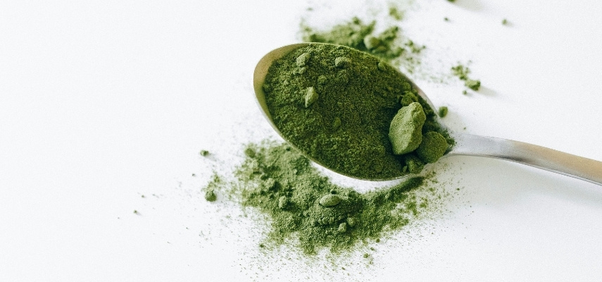 Chlorella-powder